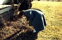 Julia (Judy) Kish Dorrough; Apples; Our House;